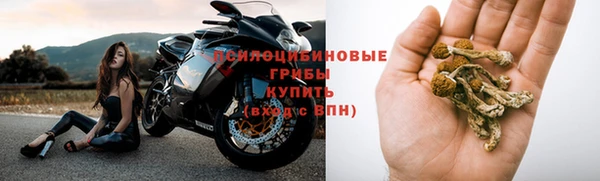 гидра Иннополис