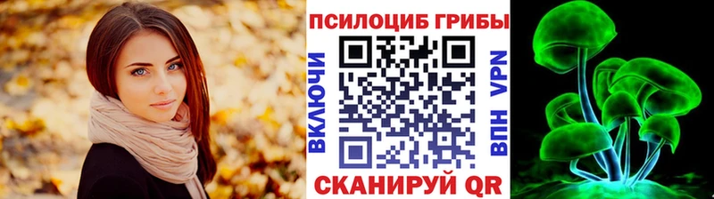 Купить закладки  Белебей  Псилоцибиновые грибы Magic Shrooms 